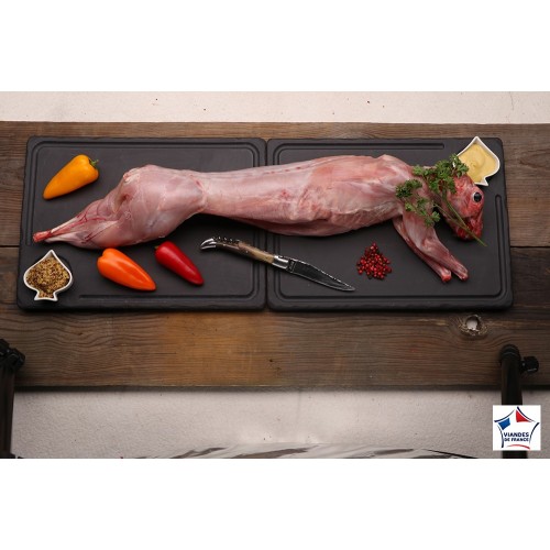 LAPIN